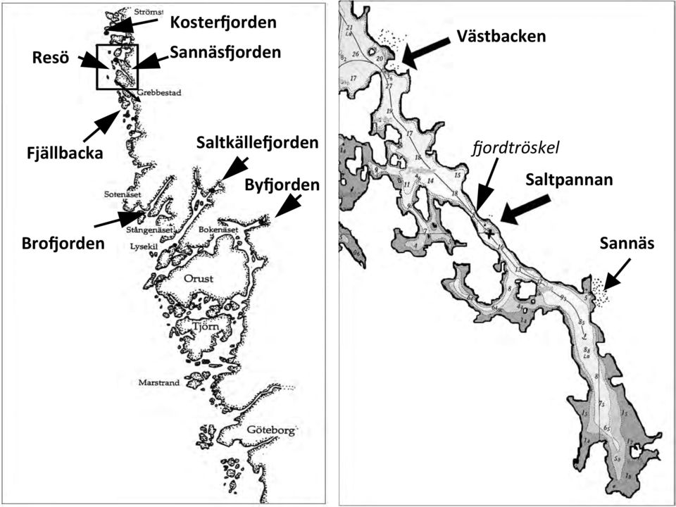 Fjällbacka SaltkälleCorden