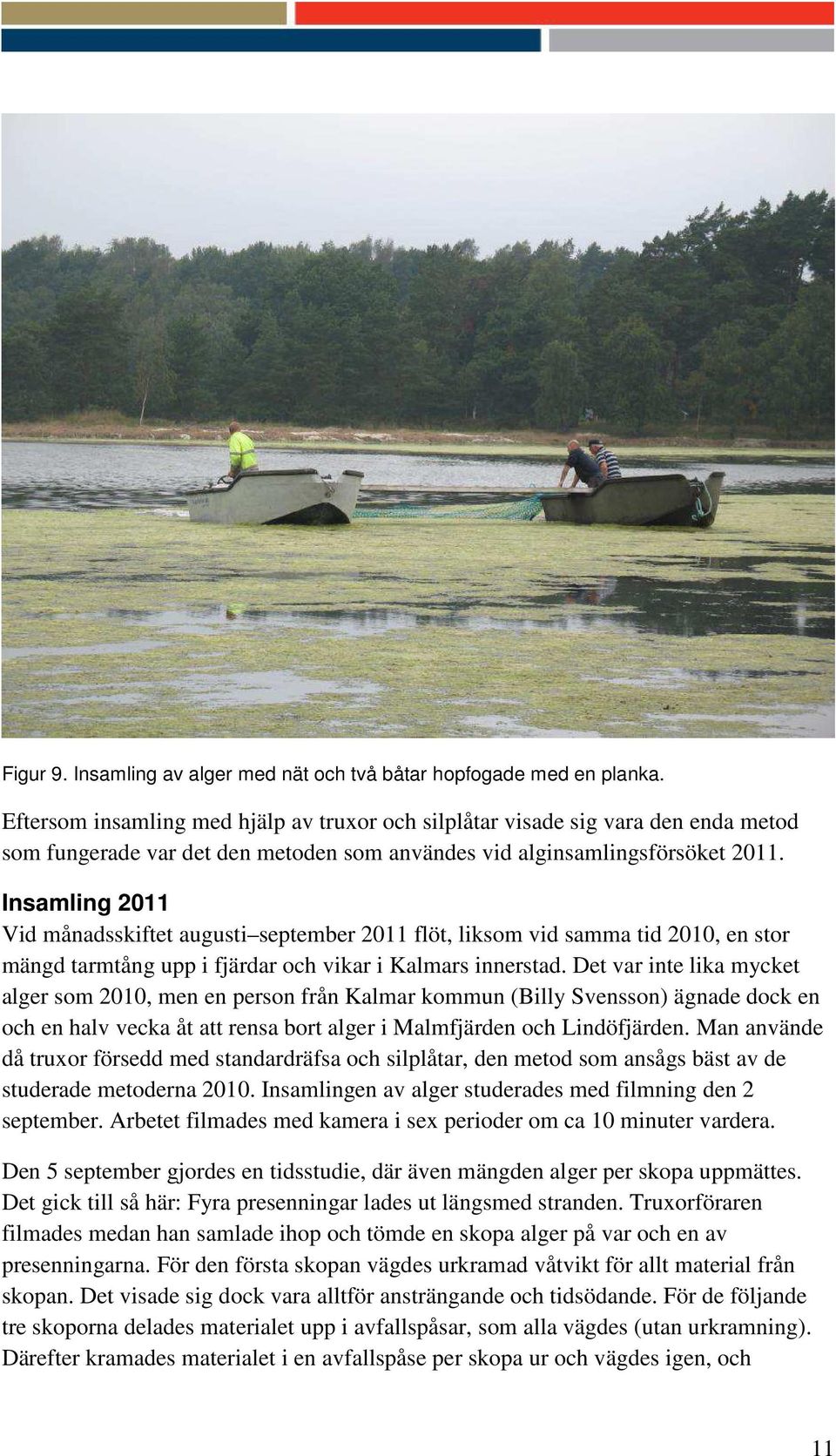 Insamling 2011 Vid månadsskiftet augusti september 2011 flöt, liksom vid samma tid 2010, en stor mängd tarmtång upp i fjärdar och vikar i Kalmars innerstad.