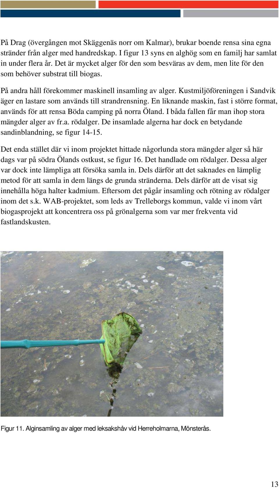 Kustmiljöföreningen i Sandvik äger en lastare som används till strandrensning. En liknande maskin, fast i större format, används för att rensa Böda camping på norra Öland.