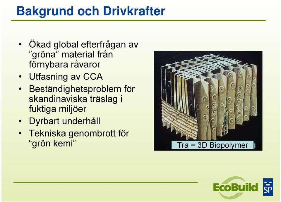 Beständighetsproblem för skandinaviska träslag i fuktiga