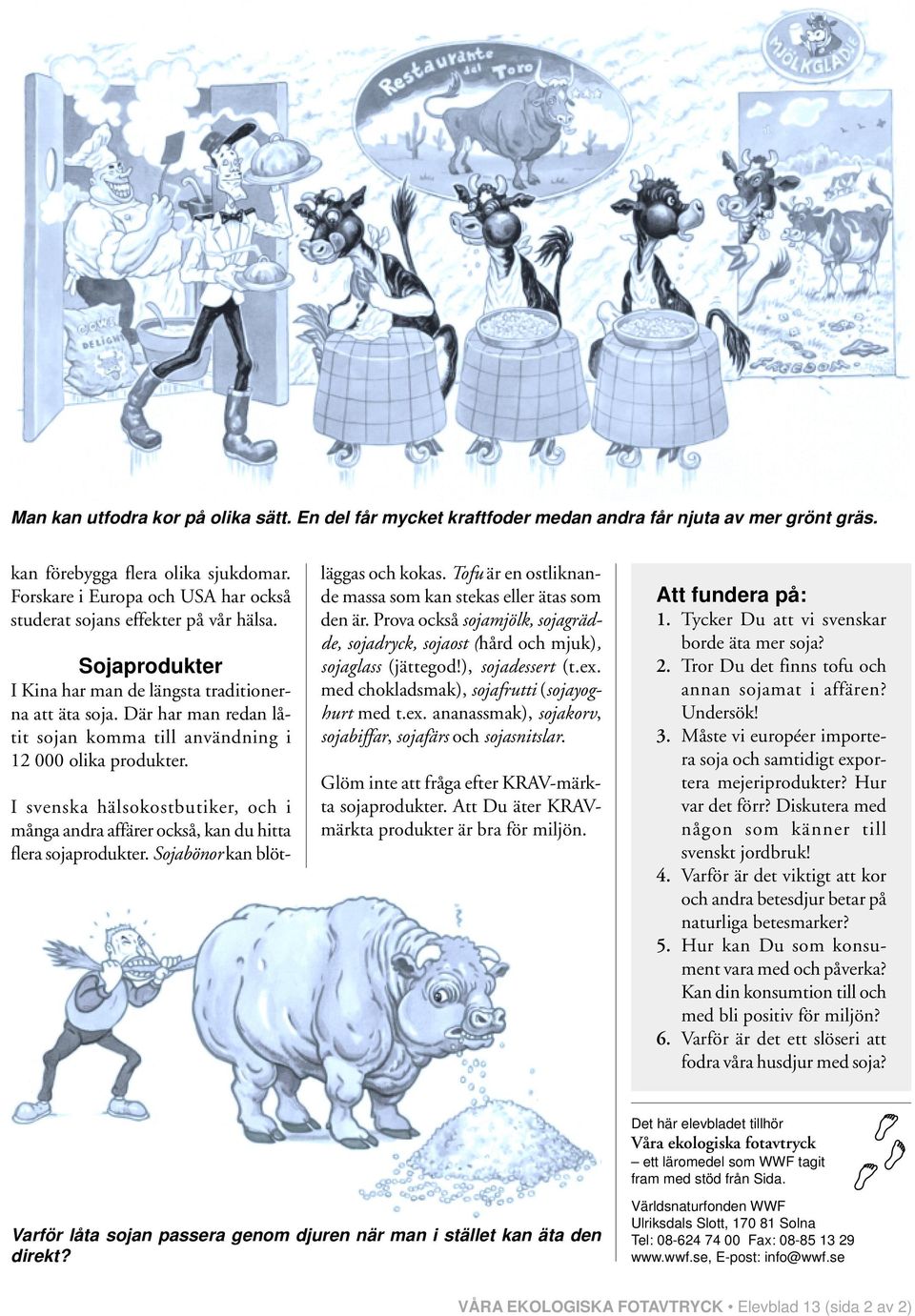 Där har man redan låtit sojan komma till användning i 12 000 olika produkter. I svenska hälsokostbutiker, och i många andra affärer också, kan du hitta flera sojaprodukter.