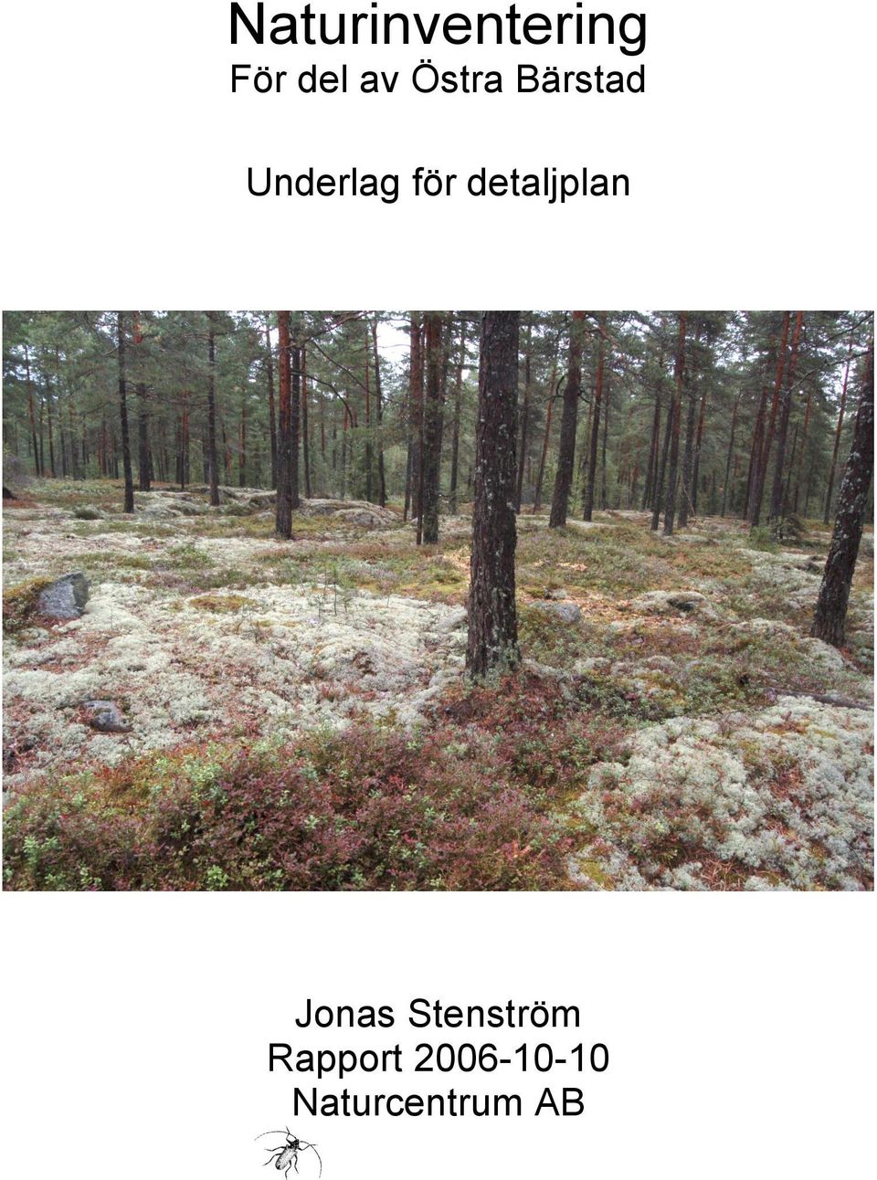 detaljplan Jonas Stenström