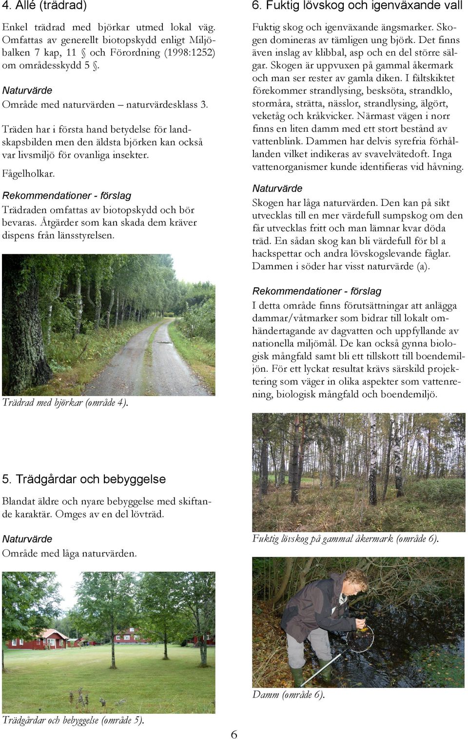 Det finns även inslag av klibbal, asp och en del större sälgar. Skogen är uppvuxen på gammal åkermark och man ser rester av gamla diken.