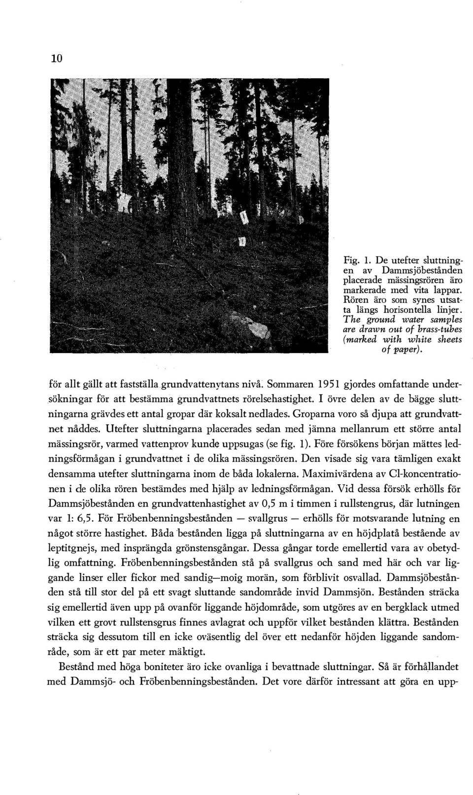 Sommaren 195 1 gjordes omfattande undersökningar för att bestämma grundvattnets röresehastighet. I övre deen av de bägge suttningarna grävdes ett anta gropar där koksat nedades.