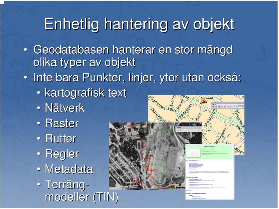 linjer, ytor utan också: kartografisk text Nätverk