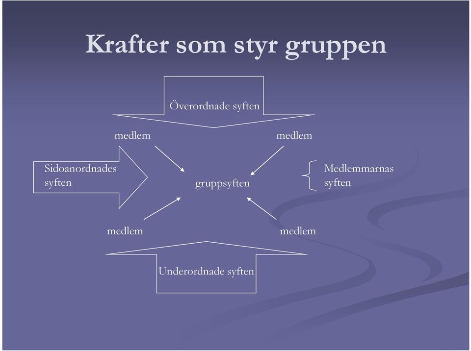 syften gruppsyften Medlemmarnas