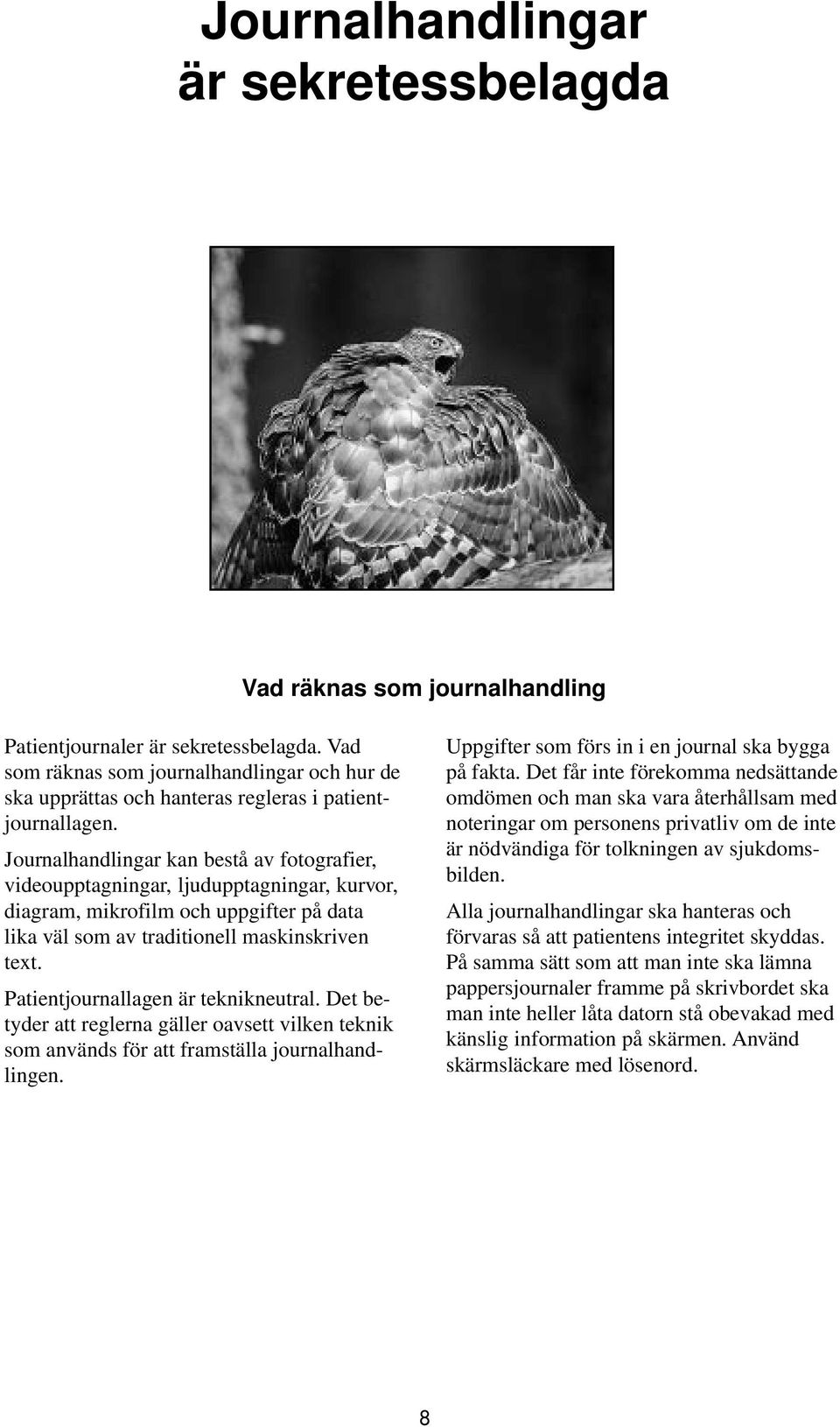 Journalhandlingar kan bestå av fotografier, videoupptagningar, ljudupptagningar, kurvor, diagram, mikrofilm och uppgifter på data lika väl som av traditionell maskinskriven text.