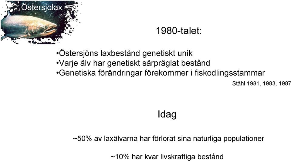 fiskodlingsstammar Ståhl 1981, 1983, 1987 Idag ~50% av laxälvarna har