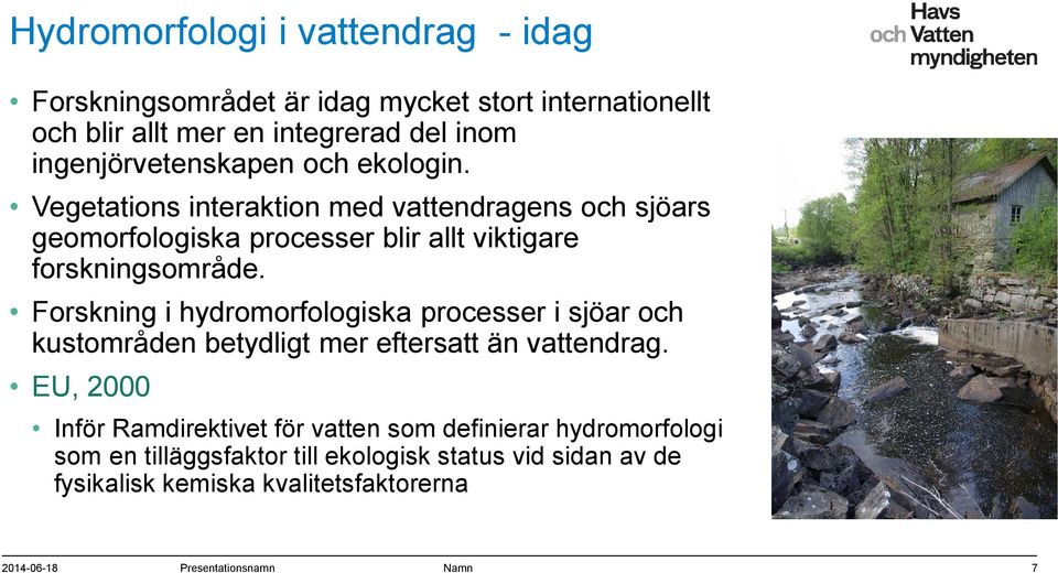 Vegetations interaktion med vattendragens och sjöars geomorfologiska processer blir allt viktigare forskningsområde.