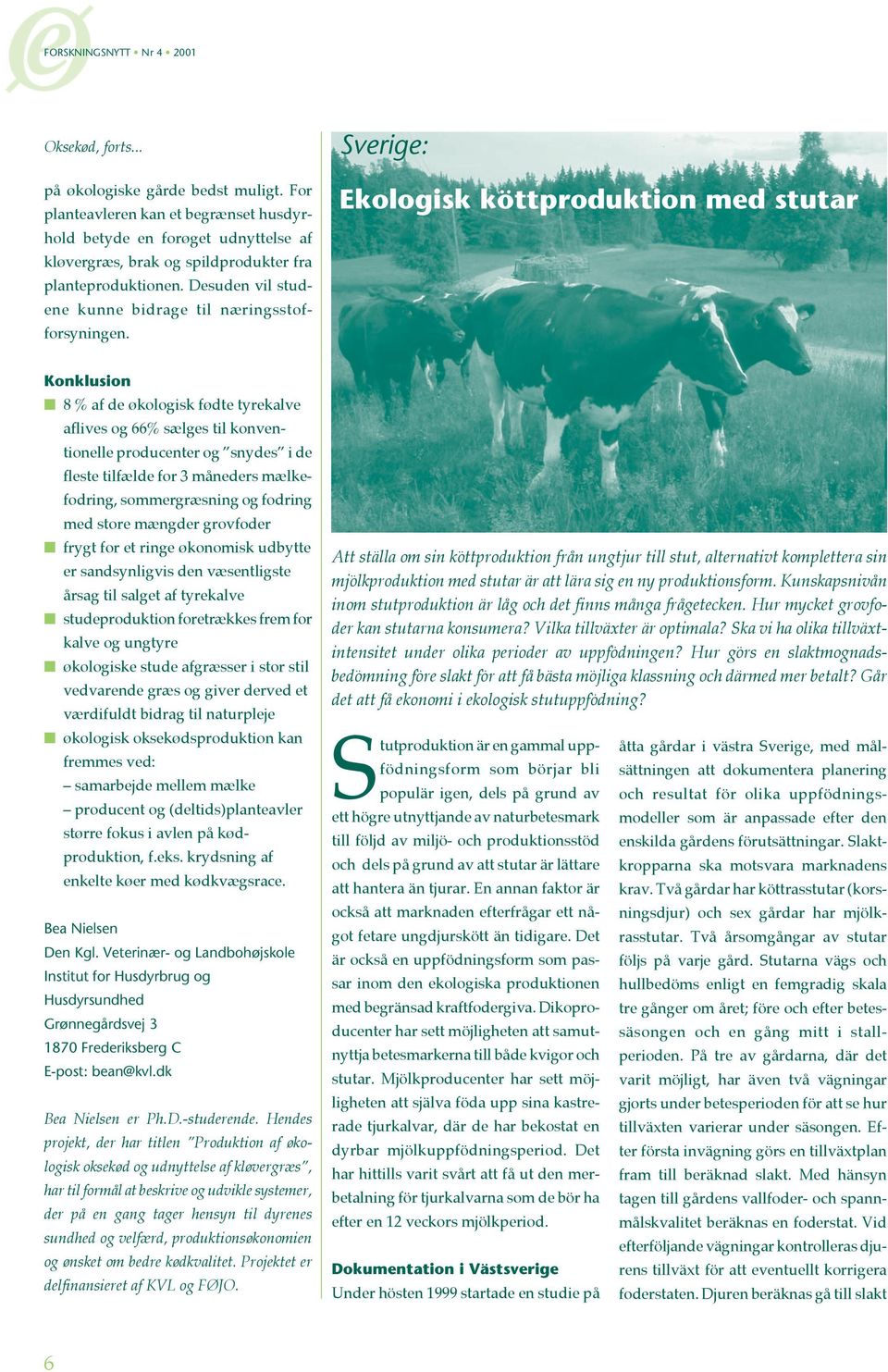 Sverige: Ekologisk köttproduktion med stutar Konklusion 8 % af de økologisk fødte tyrekalve aflives og 66% sælges til konventionelle producenter og snydes i de fleste tilfælde for 3 måneders