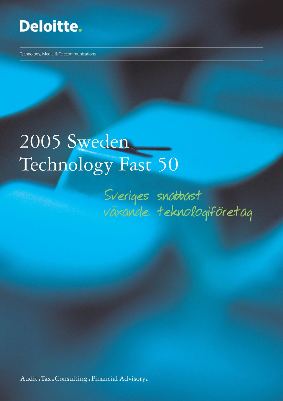 Sweden Technology Fast 50