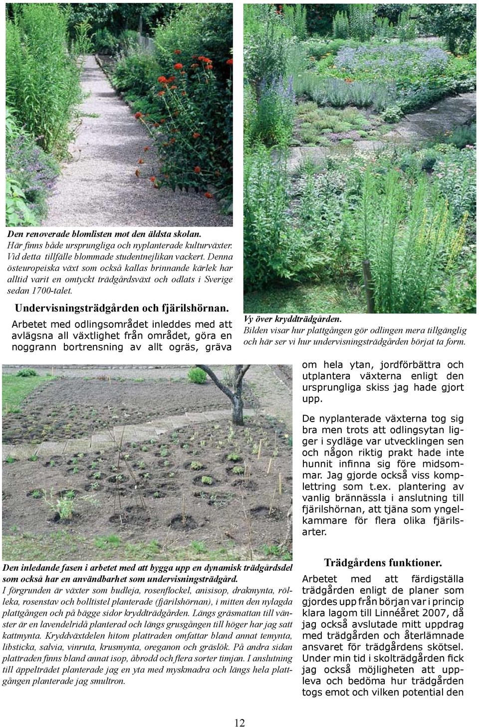 Arbetet med odlingsområdet inleddes med att avlägsna all växtlighet från området, göra en noggrann bortrensning av allt ogräs, gräva Vy över kryddträdgården.