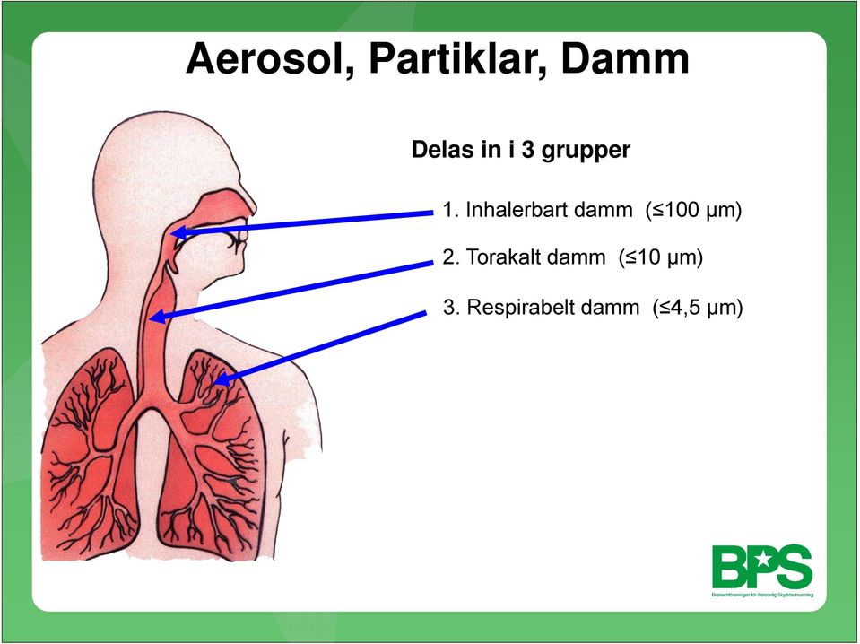 Inhalerbart damm ( 100 μm) 2.