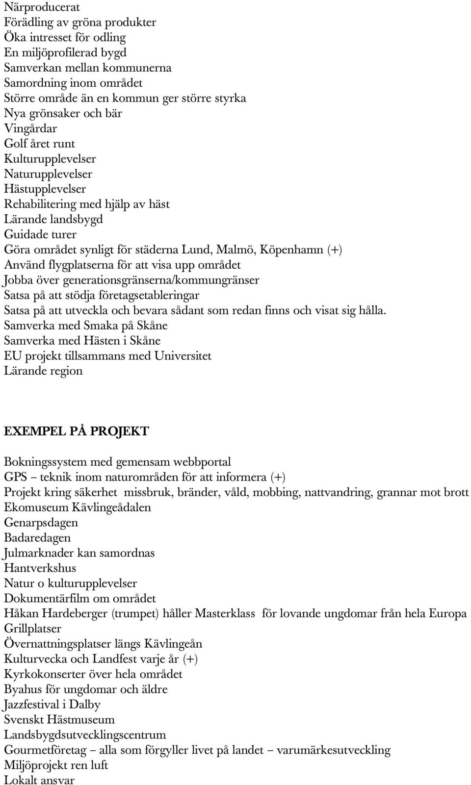 Malmö, Köpenhamn (+) Använd flygplatserna för att visa upp området Jobba över generationsgränserna/kommungränser Satsa på att stödja företagsetableringar Satsa på att utveckla och bevara sådant som