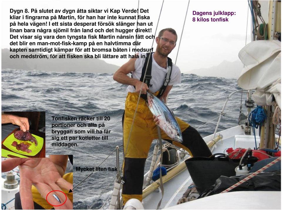 Det visar sig vara den tyngsta fisk Martin nånsin fått och det blir en man-mot-fisk-kamp på en halvtimma där kapten samtidigt kämpar för att bromsa