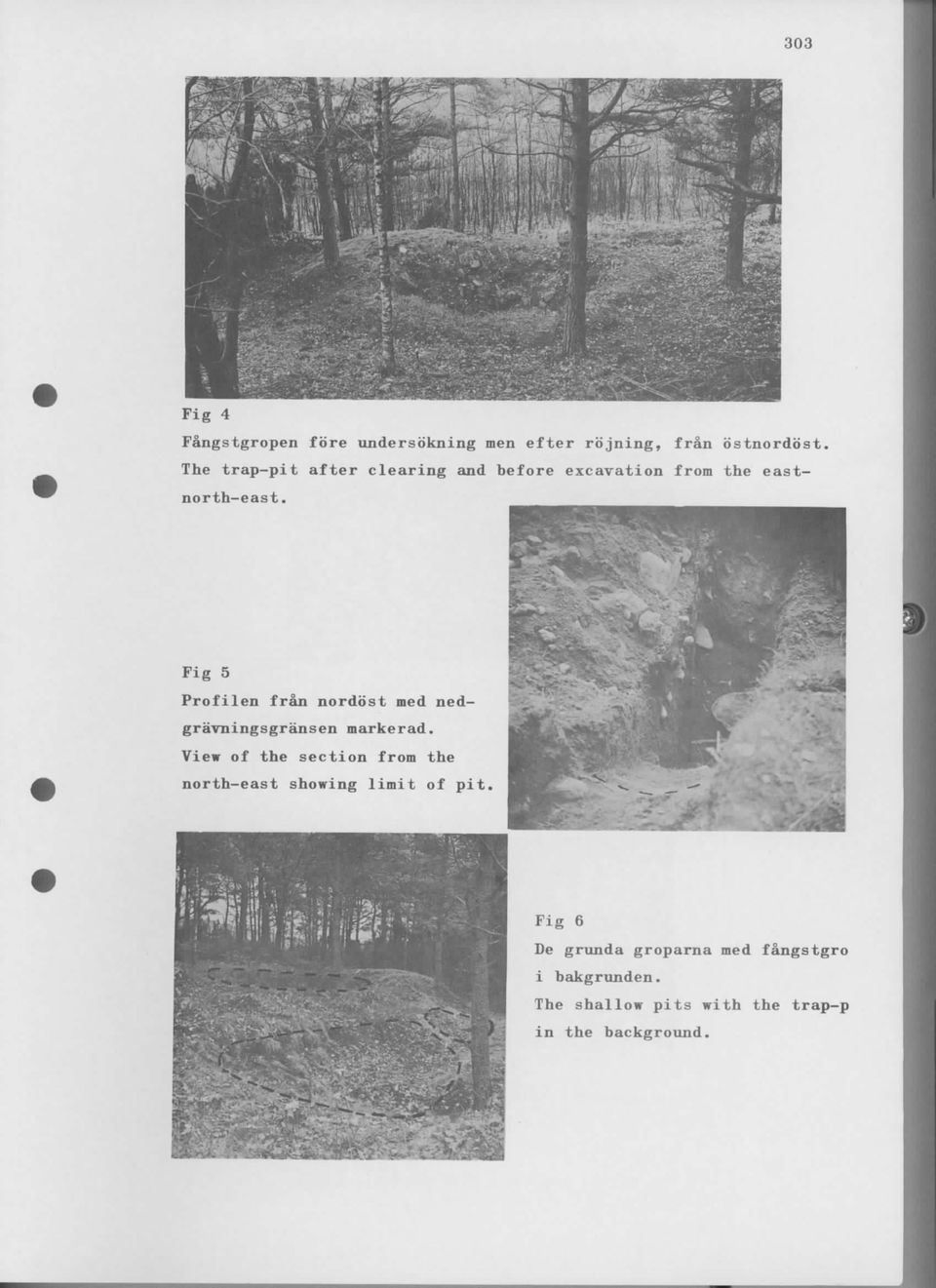 Fig 5 Profilen fran nordbst med nedgravningsgransen markerad.