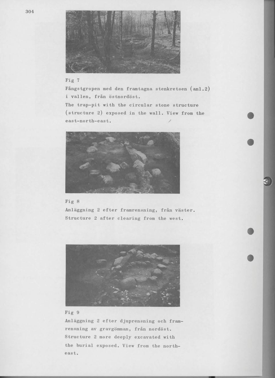 Fig 8 Anlaggning 2 efter framrensning, fran vaster. Structure 2 after clearing from the west.