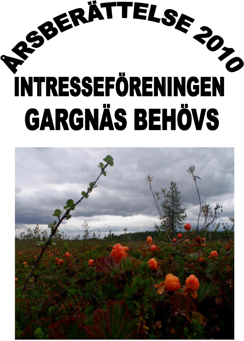Gargnäs
