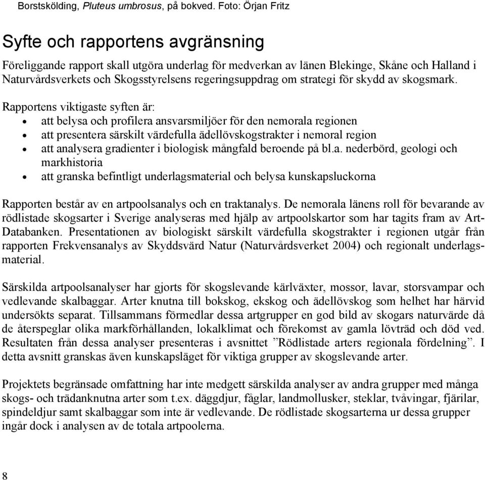 regeringsuppdrag om strategi för skydd av skogsmark.