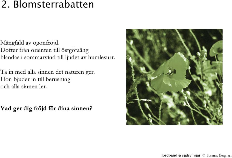 ljudet av humlesurr. Ta in med alla sinnen det naturen ger.