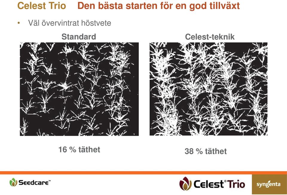 Celest-teknik 16