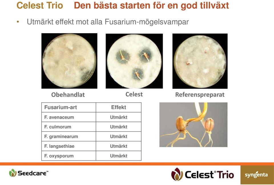 Effekt F. avenaceum Utmärkt F. culmorum Utmärkt F.