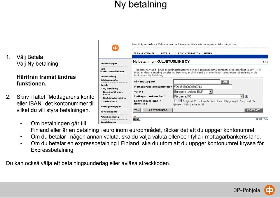 Om betalningen går till Finland eller är en betalning i euro inom euroområdet, räcker det att du uppger kontonumret.