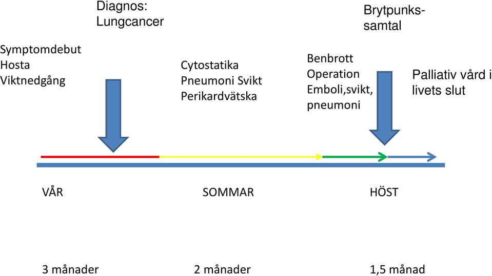 Benbrott Operation Emboli,svikt, pneumoni Palliativ vård