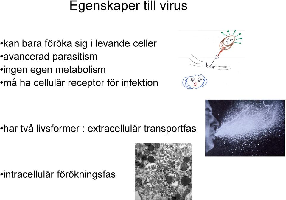 ha cellulär receptor för infektion har två livsformer