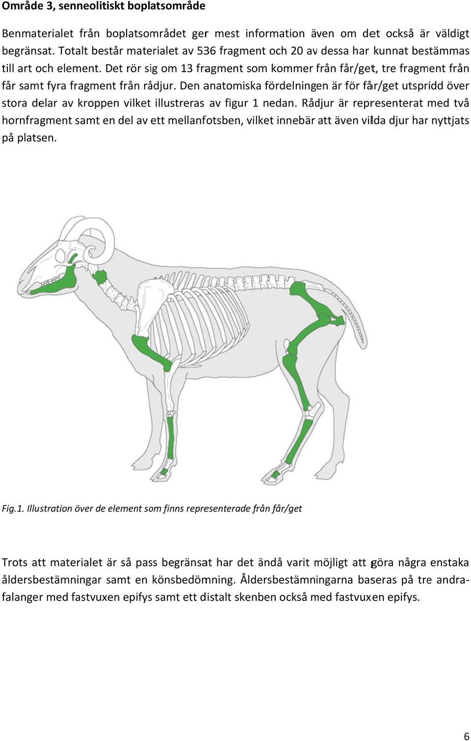 Den anatomiska fördelningen är för får/get utspridd över stora delar av kroppen vilket illustreras av figur 1 nedan.