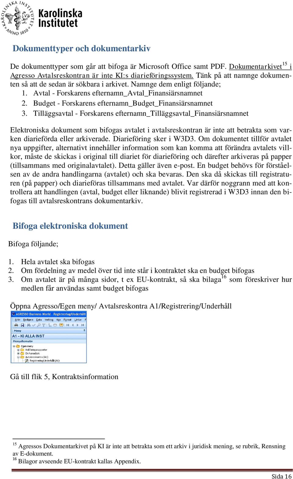 Budget - Forskarens efternamn_budget_finansiärsnamnet 3.