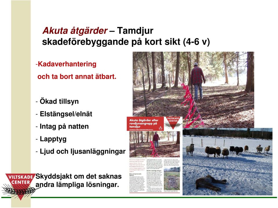 - Ökad tillsyn - Elstängsel/elnät - Intag på natten - Lapptyg
