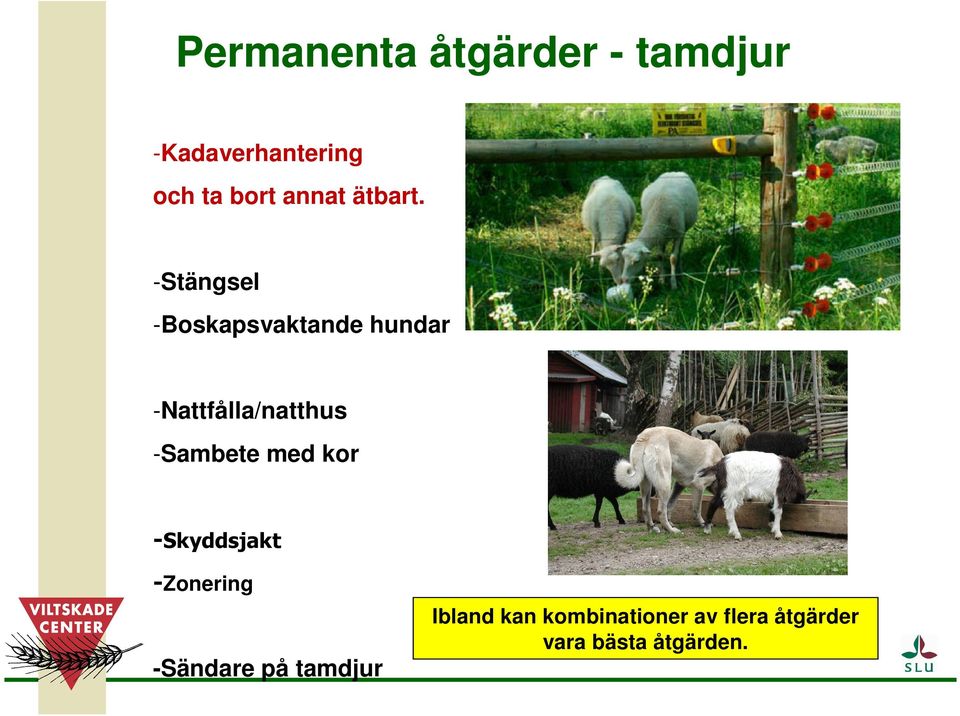 -Stängsel -Boskapsvaktande hundar -Nattfålla/natthus -Sambete