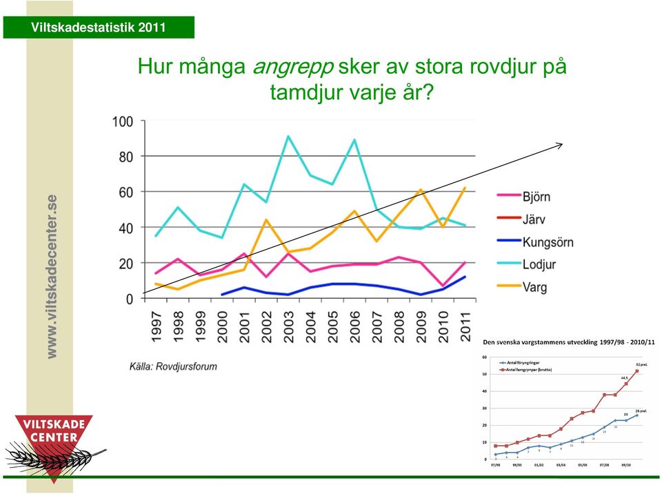 stora rovdjur på tamdjur