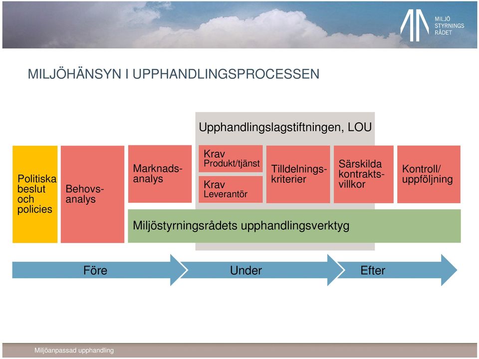 Behovsanalys Marknadsanalys Tilldelningskriterier Miljöstyrningsrådets