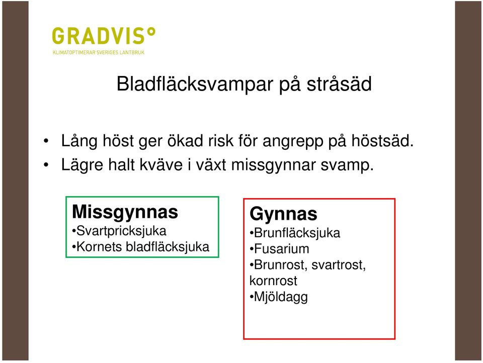 Lägre halt kväve i växt missgynnar svamp.