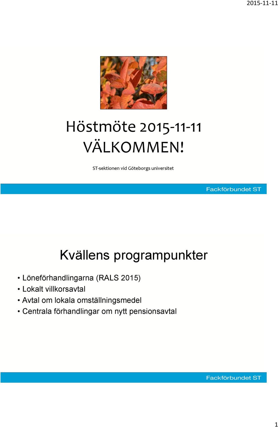 programpunkter Löneförhandlingarna (RALS 2015) Lokalt