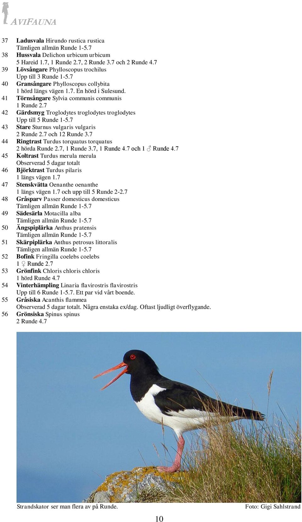 7 42 Gärdsmyg Troglodytes troglodytes troglodytes Upp till 5 Runde 1-5.7 43 Stare Sturnus vulgaris vulgaris 2 Runde 2.7 och 12 Runde 3.7 44 Ringtrast Turdus torquatus torquatus 2 hörda Runde 2.