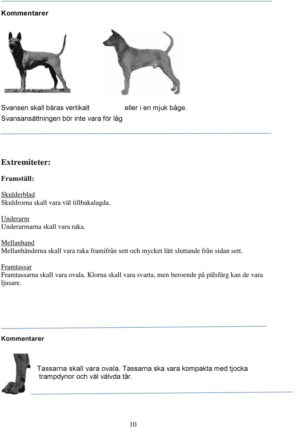 Mellanhand Mellanhänderna skall vara raka framifrån sett och mycket lätt sluttande från sidan sett.