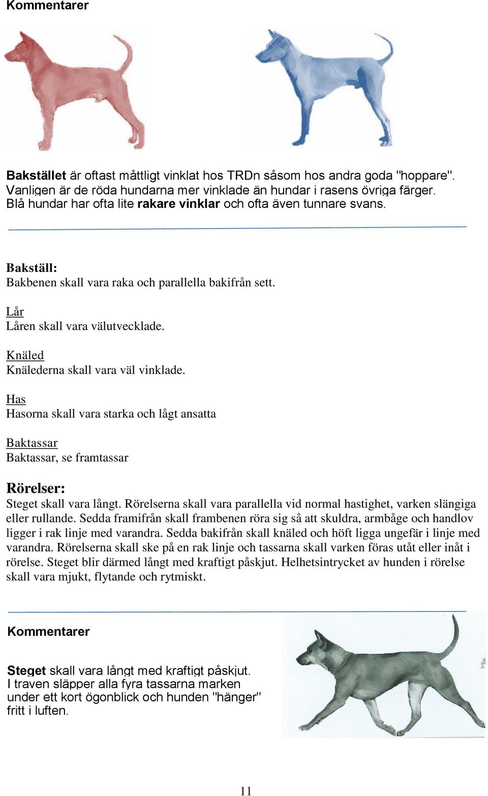 Knäled Knälederna skall vara väl vinklade. Has Hasorna skall vara starka och lågt ansatta Baktassar Baktassar, se framtassar Rörelser: Steget skall vara långt.