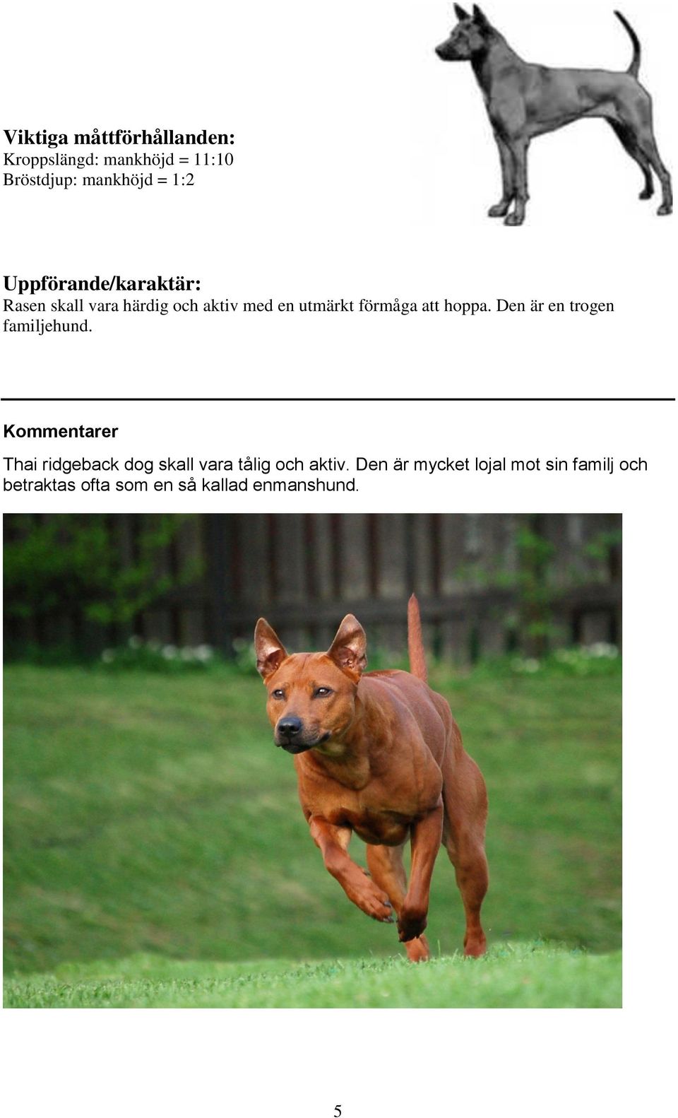 hoppa. Den är en trogen familjehund.