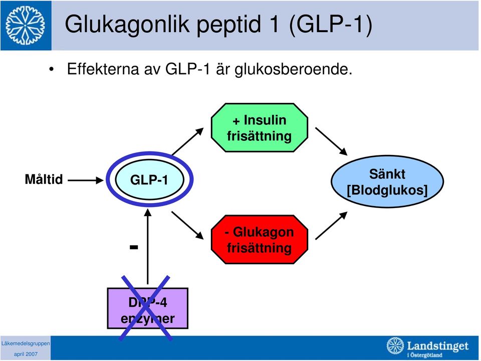 + Insulin frisättning Måltid GLP-1