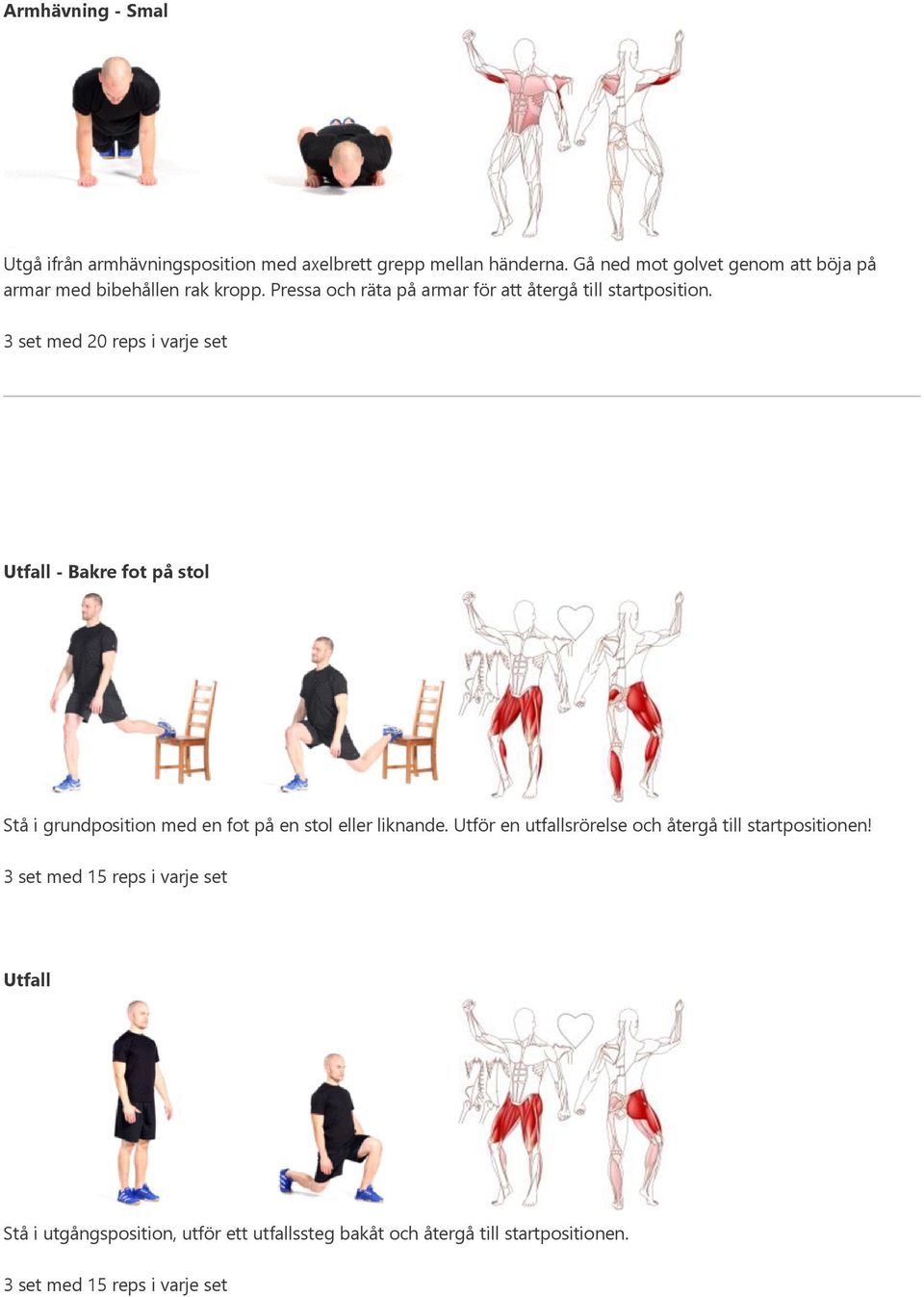 3 set med 20 reps i varje set Utfall - Bakre fot på stol Stå i grundposition med en fot på en stol eller liknande.