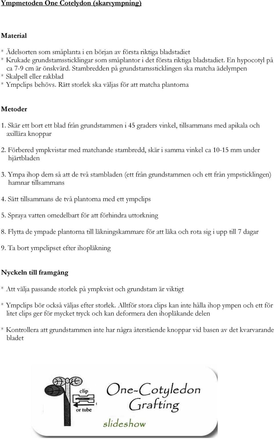 Skär ett bort ett blad från grundstammen i 45 graders vinkel, tillsammans med apikala och axillära knoppar 2.