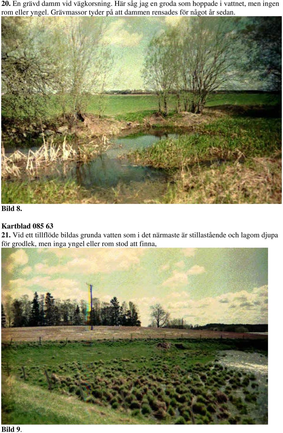 Grävmassor tyder på att dammen rensades för något år sedan. Bild 8. Kartblad 085 63 21.