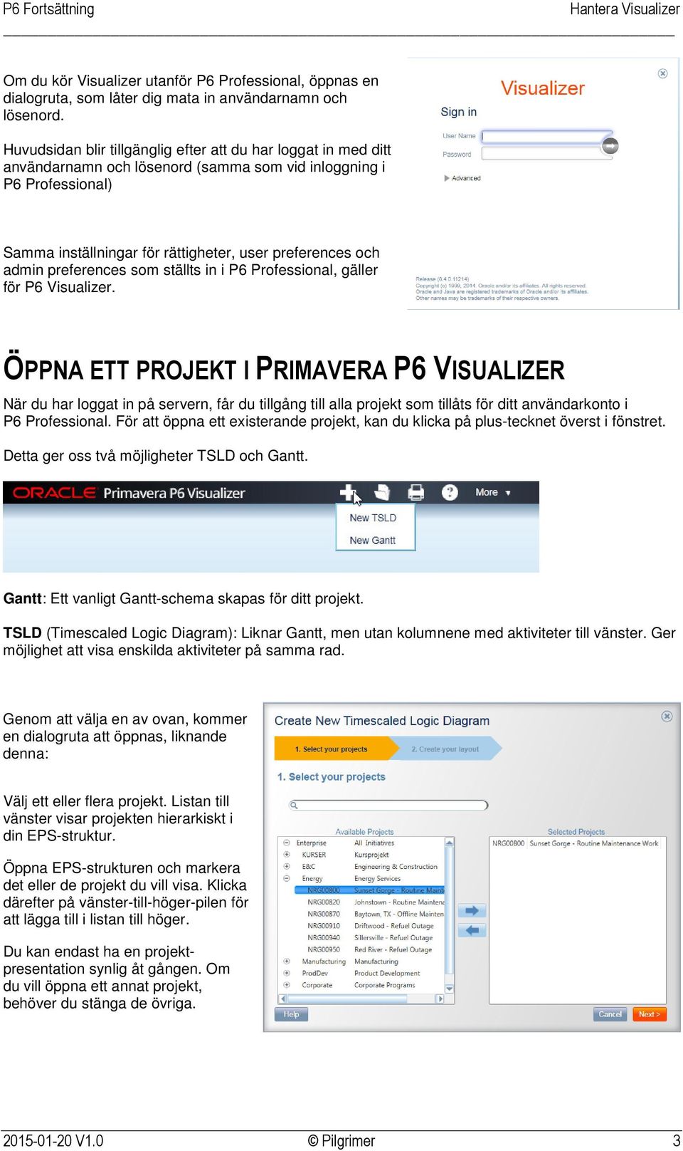 preferences som ställts in i P6 Professional, gäller för P6 Visualizer.