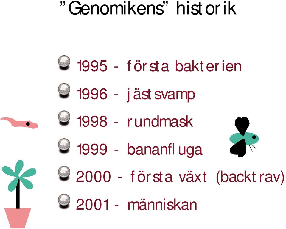 rundmask 1999 - bananfluga 2000 -