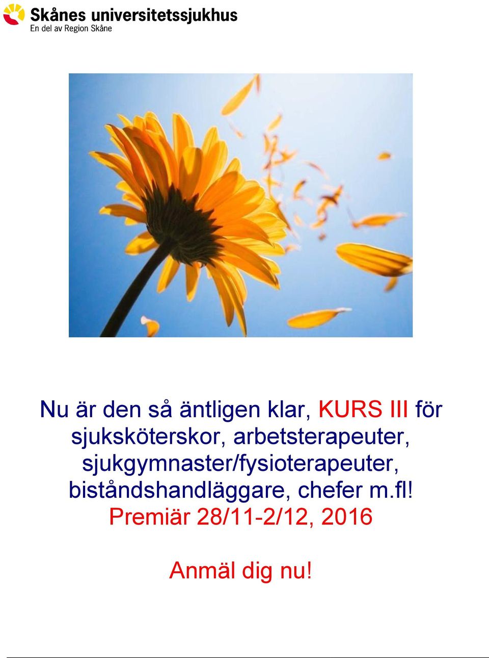 sjukgymnaster/fysioterapeuter,