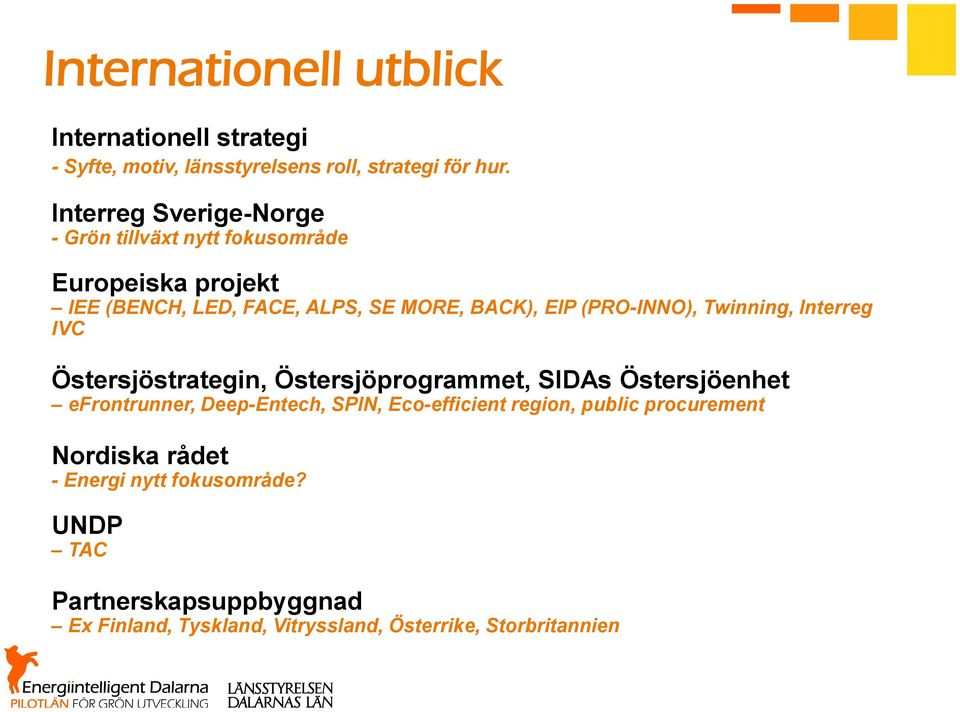 (PRO-INNO), Twinning, Interreg IVC Östersjöstrategin, Östersjöprogrammet, SIDAs Östersjöenhet efrontrunner, Deep-Entech, SPIN,