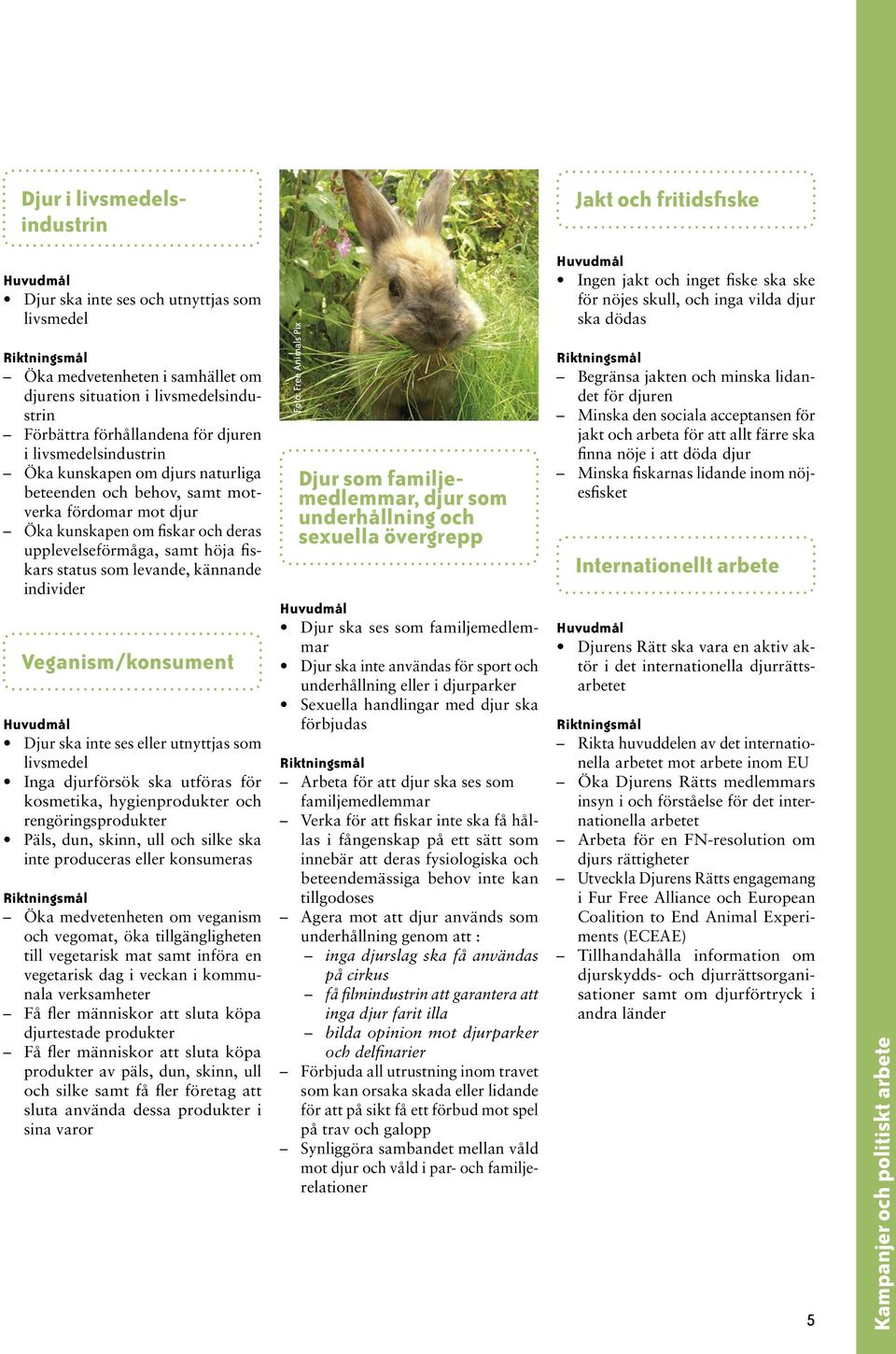 levande, kännande individer Veganism/konsument Djur ska inte ses eller utnyttjas som livsmedel Inga djurförsök ska utföras för kosmetika, hygienprodukter och rengöringsprodukter Päls, dun, skinn, ull